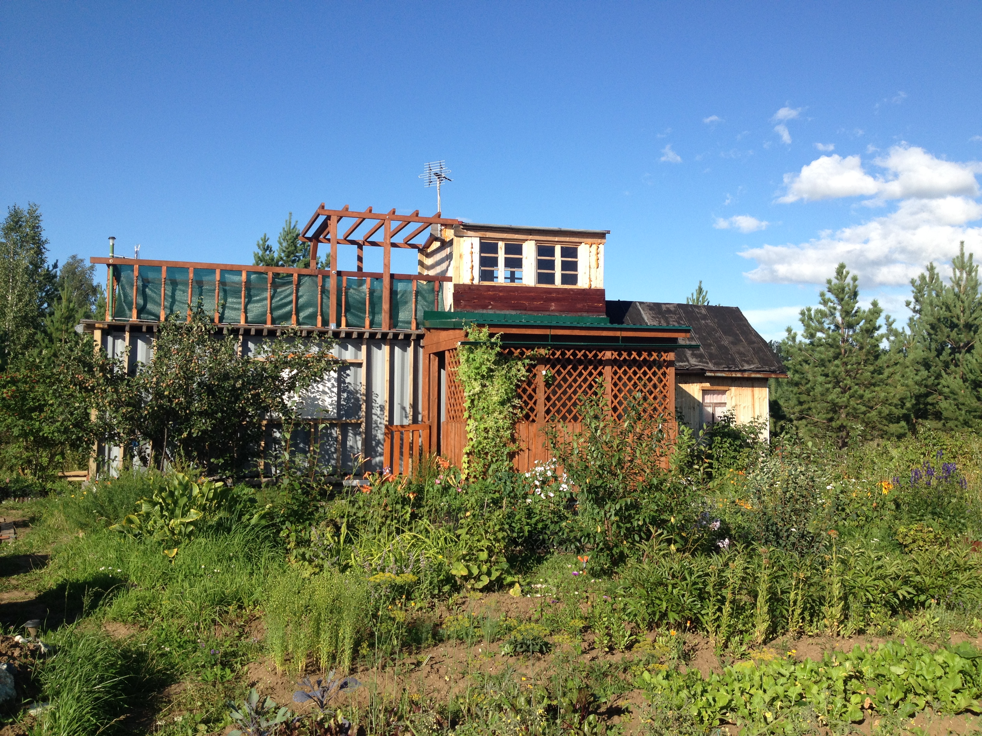 House from the container in the garden